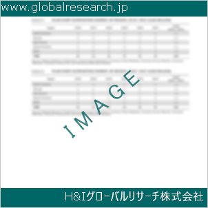 グローバルリサーチ調査資料のイメージ